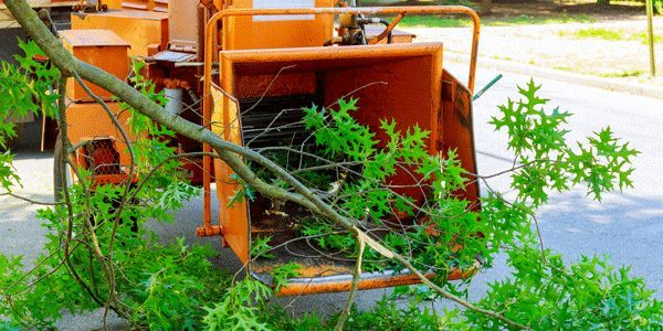 Wood chipping and clean-up by Arbor Bros